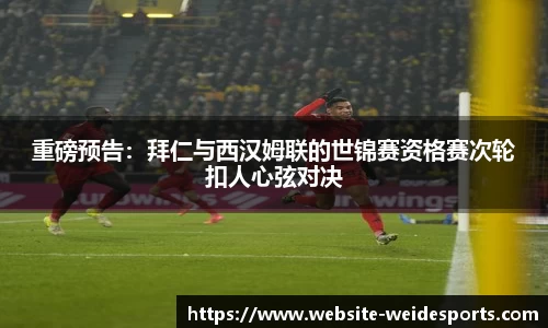 betvictor伟德